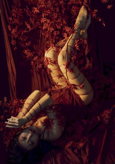围屋里的桃花电视剧全集在线观看_1080P免费高清观看